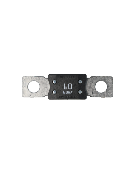 FS60
