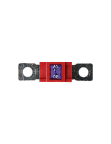 FS80