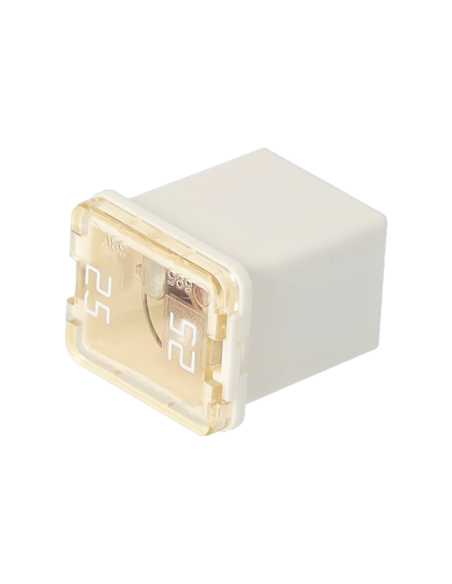 JCM25