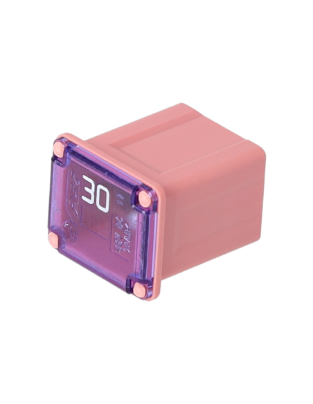 JCM30