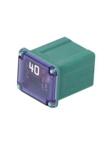 JCM40