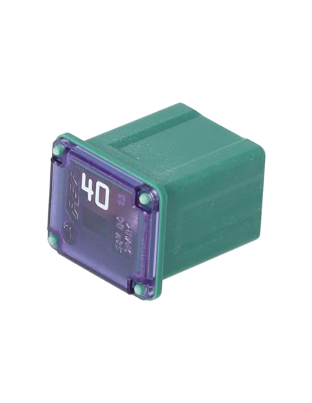 JCM40